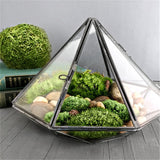 Glass Diamond Terrarium